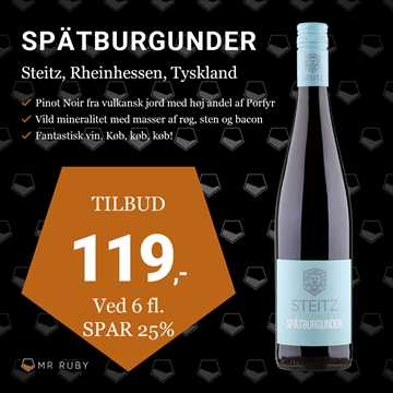 2021 Spätburgunder, Weingut Steitz, Rheinhessen, Tyskland